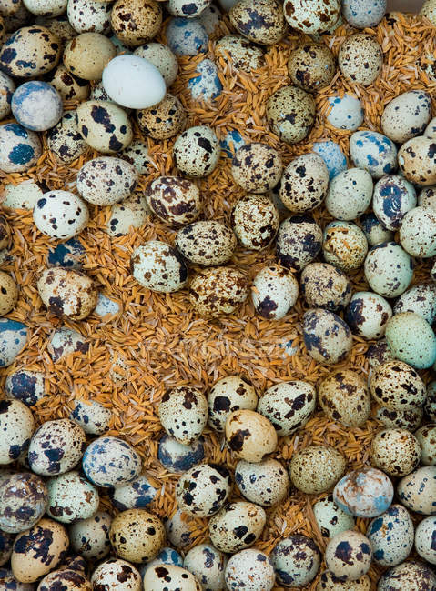 Яйця, викладені на ринковій стійці — стокове фото