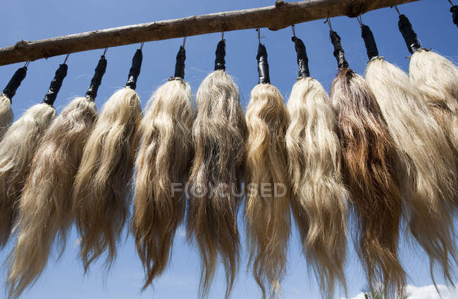 Piume di capelli umani — Foto stock