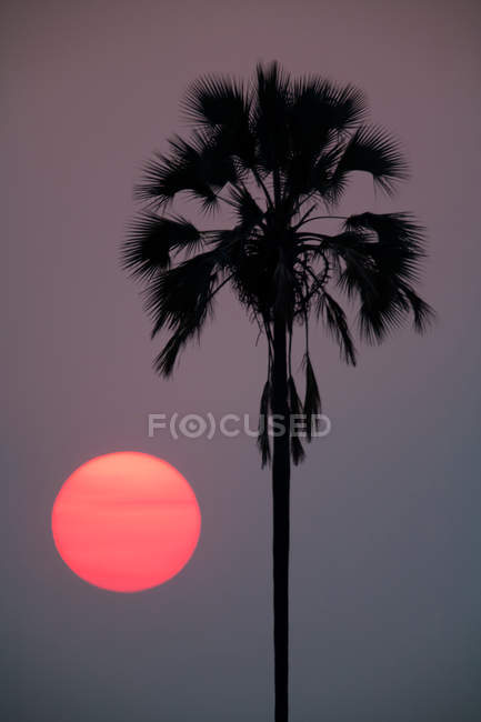 Vista incrível sobre o pôr do sol — Fotografia de Stock