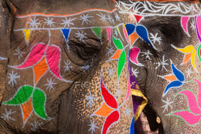 Elaboradamente adornados elefantes durante Holi — Fotografia de Stock