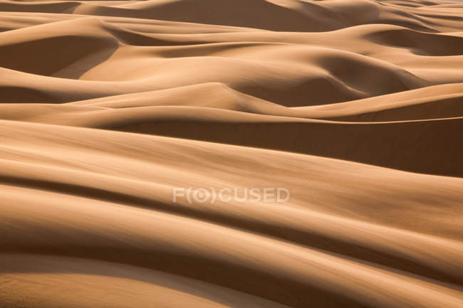 Dune del deserto del Namib — Foto stock