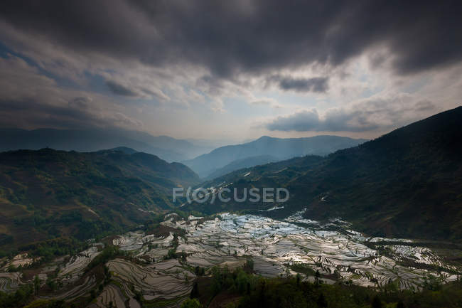 Terraced rice fields — Stock Photo