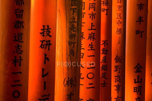 Vue rapprochée des portes de Torii — Photo de stock