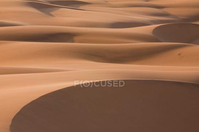Dune del deserto del Namib — Foto stock