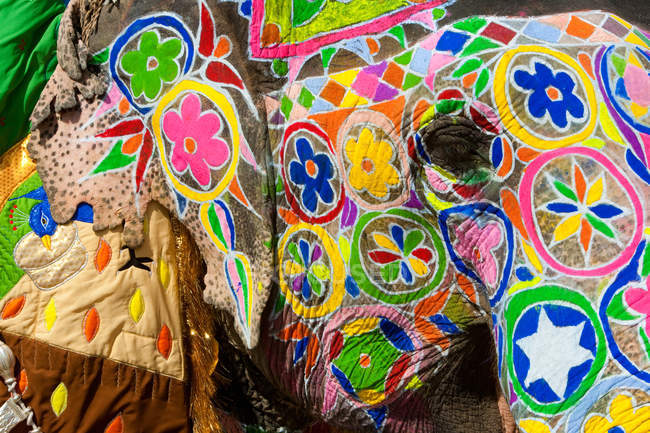 Eléphants décorés avec soin pendant Holi — Photo de stock