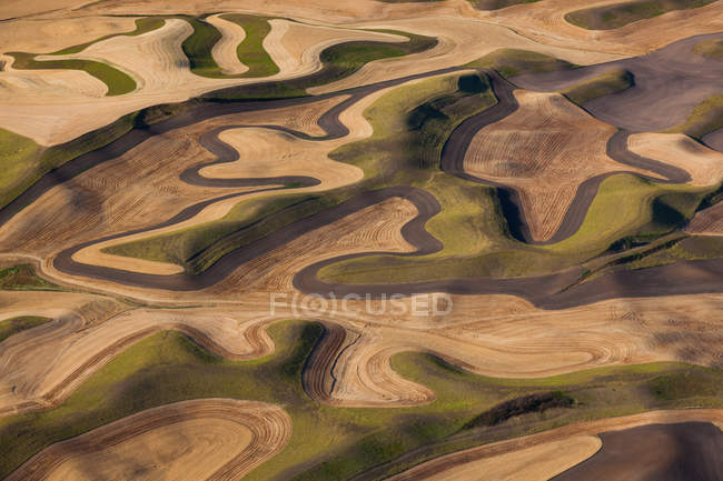 Земледельческий ландшафт с пахотными полями — стоковое фото