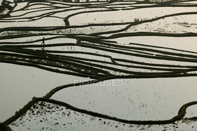 Terraced rice paddy, China. — Stock Photo
