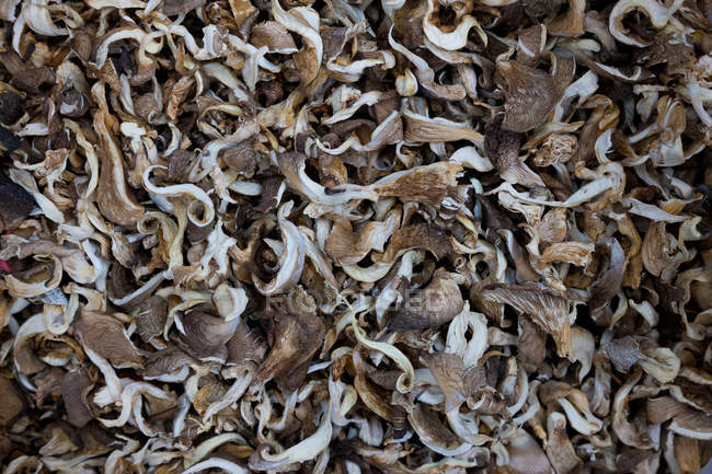 Pilhas de cogumelos no mercado — Fotografia de Stock