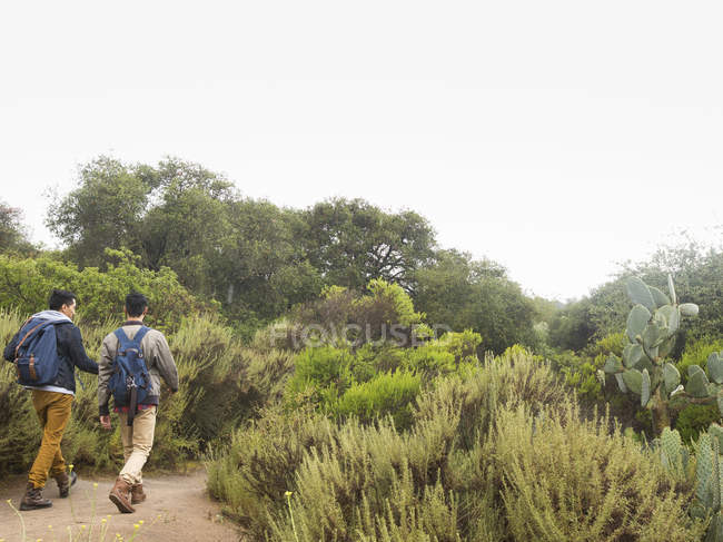 Men carrying backpacks hiking. — Stock Photo