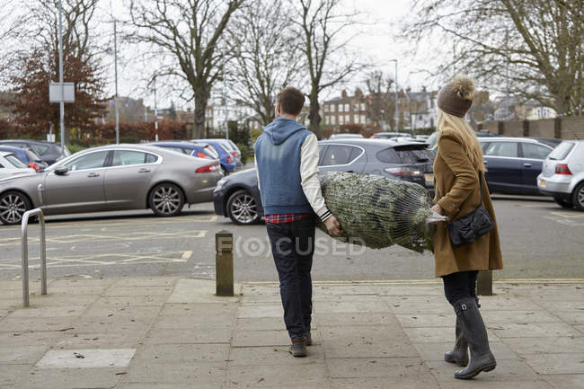 Two people carrying Christmas tree — Stock Photo
