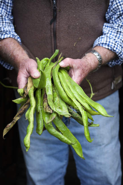 Man holding green runner beans — Stock Photo