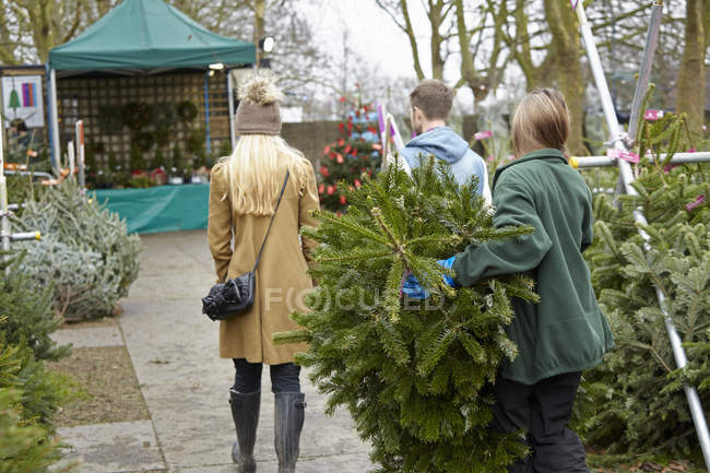 Mulher comprando uma árvore de Natal — Fotografia de Stock