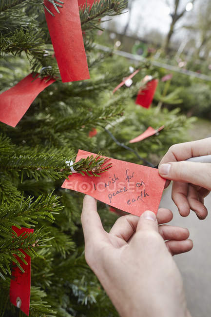 Handwritten label in Christmas tree — Stock Photo