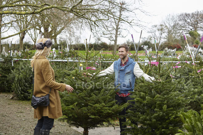 Woman shopping for a Christmas tree — Stock Photo