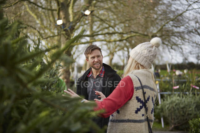 Hombre y mujer eligiendo el árbol de Navidad - foto de stock
