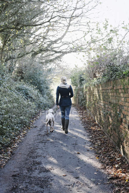 Жінка ходить з собакою — стокове фото