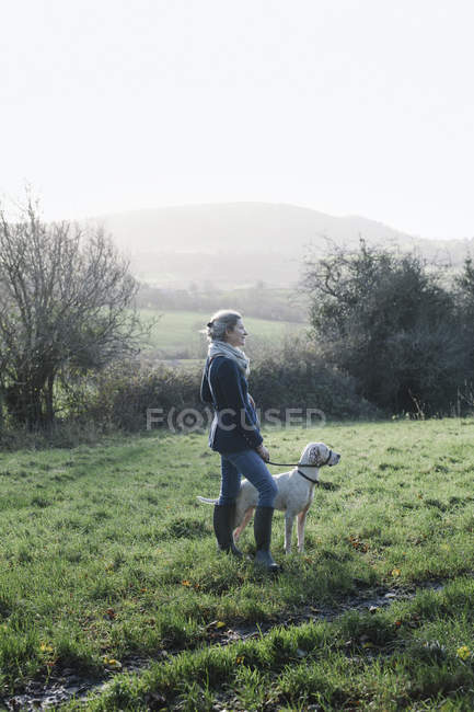 Mulher andando com um cão — Fotografia de Stock