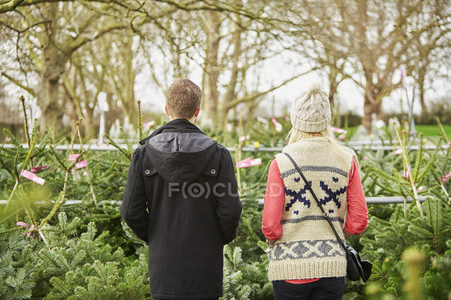Homem e mulher escolhendo árvore de Natal — Fotografia de Stock