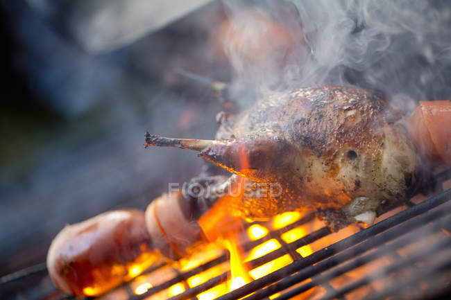 Small game bird over the flames. — Stock Photo