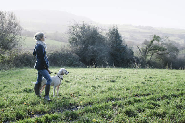 Mulher andando com um cão — Fotografia de Stock