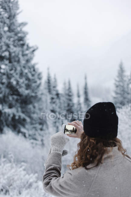 Mulher fotografando florestas de pinheiros na neve — Fotografia de Stock