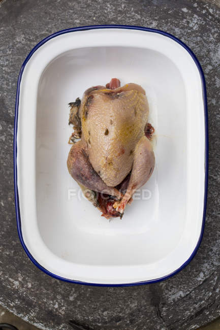 Small plucked game bird in a tin — Stock Photo