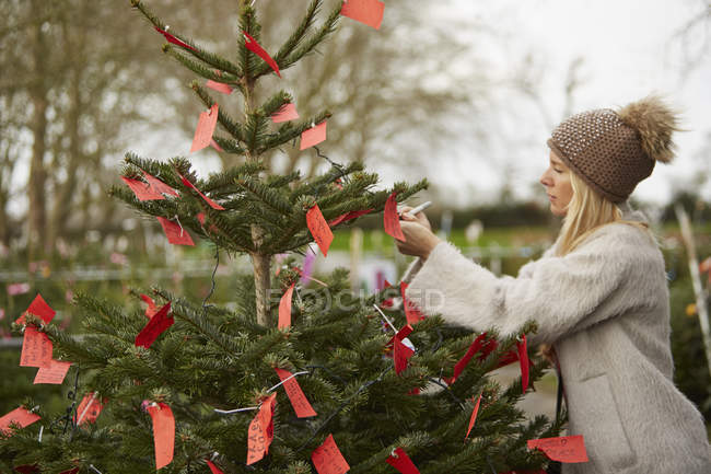 Etiketten an den Zweigen eines Weihnachtsbaums befestigt. — Stockfoto