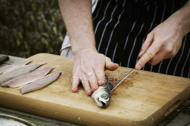 Chef filetant un maquereau frais . — Photo de stock
