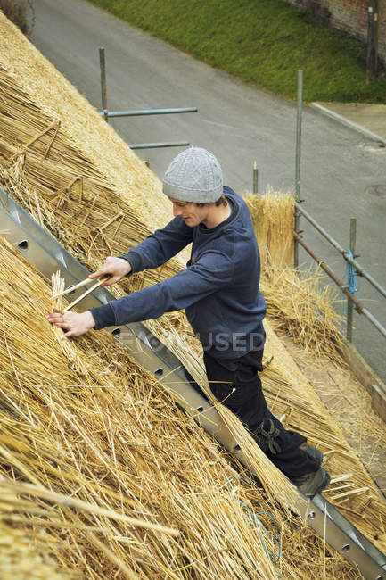 Thatcher on ladder on thatched roof — Stock Photo
