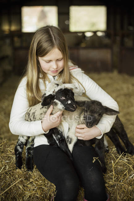 Menina e cordeiros recém-nascidos — Fotografia de Stock