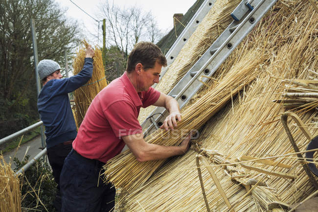 Uomini paglia un tetto — Foto stock