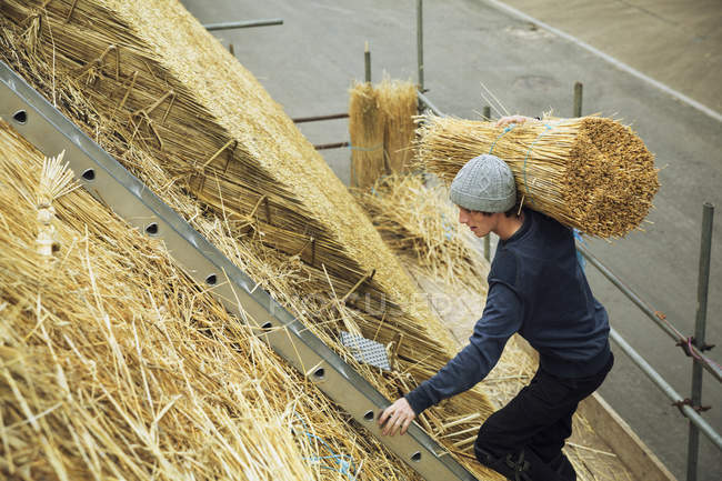 Thatcher carrying a yelm of straw — Stock Photo