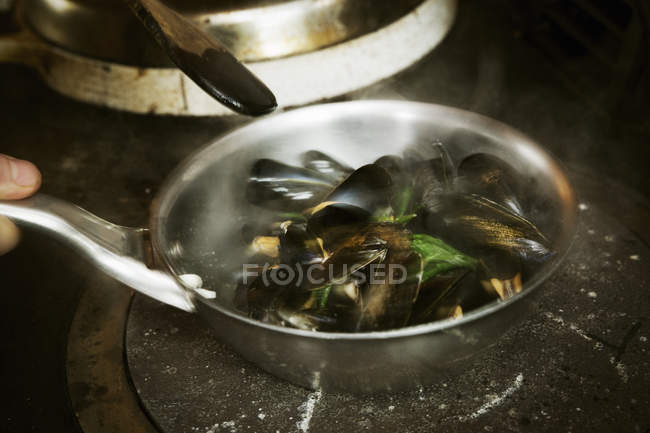 Steamed Black Mussels on a stove. — Stock Photo