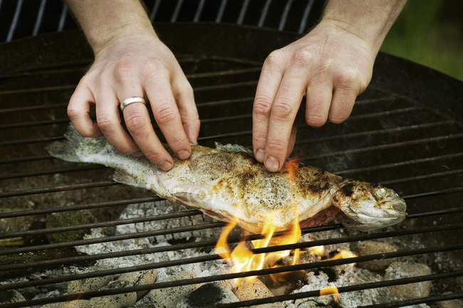 Grilling  fish on a barbecue. — Stock Photo