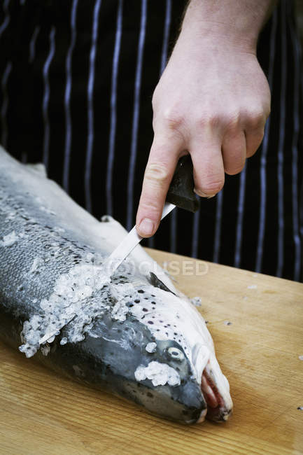 Koch beim Schuppen eines frischen Fisches. — Stockfoto