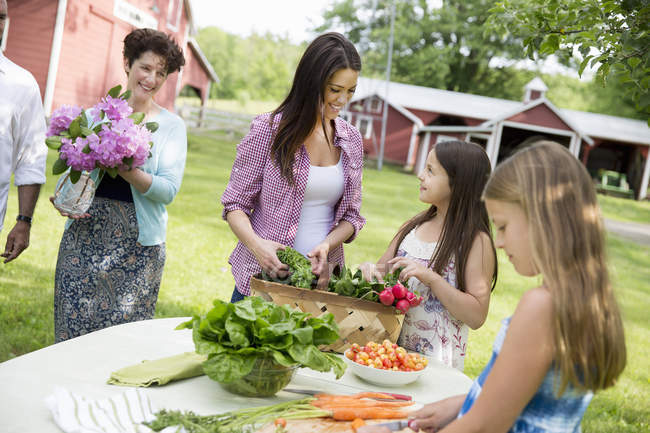 People preparing meal of fresh picked salads — Stock Photo