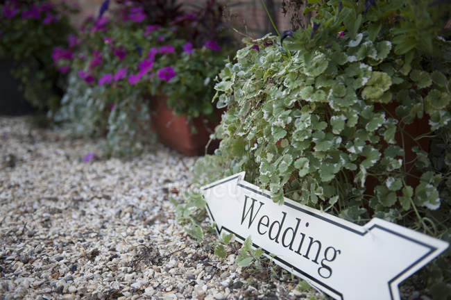 Directional sign to wedding — Stock Photo