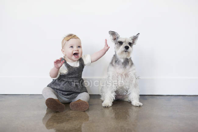 Маленькая девочка и собака — стоковое фото