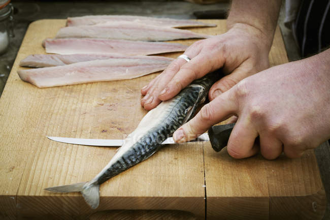 Koch filetiert eine frische Makrele. — Stockfoto