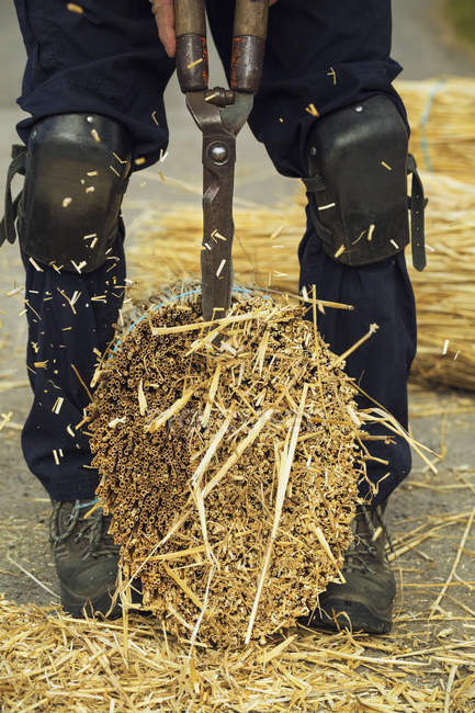 Thatcher cutting yelm of straw — Stock Photo