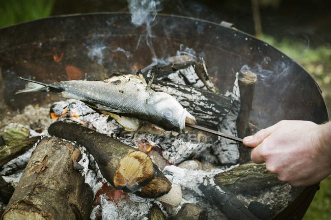 Chef grelhar um peixe inteiro — Fotografia de Stock