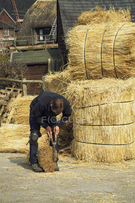 Thatcher cutting a yelm of straw — Stock Photo