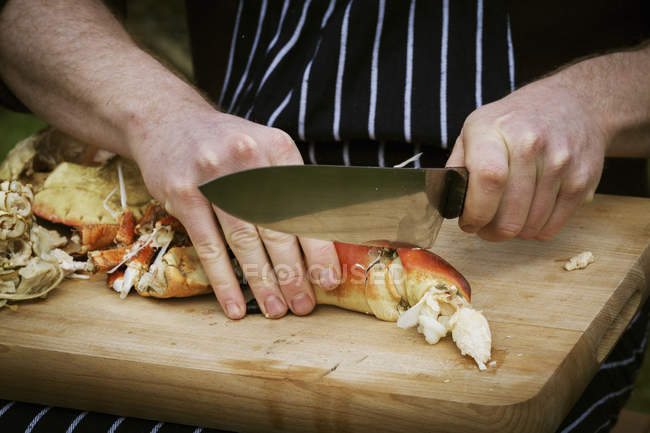 Chef preparando un cangrejo . - foto de stock