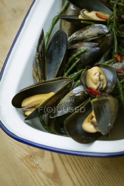 Steamed Black Mussels. — Stock Photo