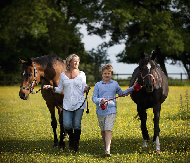Frau und Junge gehen mit Pferden — Stockfoto