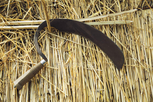 Shearing hook on straw — Stock Photo