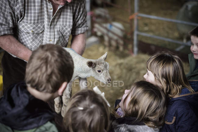 Agricultor e crianças com cordeiro recém-nascido — Fotografia de Stock