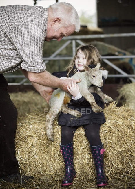 Bauer und kleines Mädchen mit neugeborenem Lamm — Stockfoto