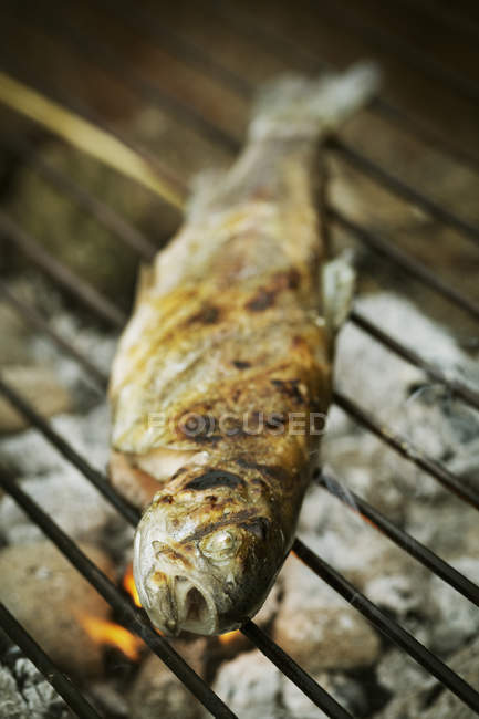 Peixe grelhado num churrasco . — Fotografia de Stock