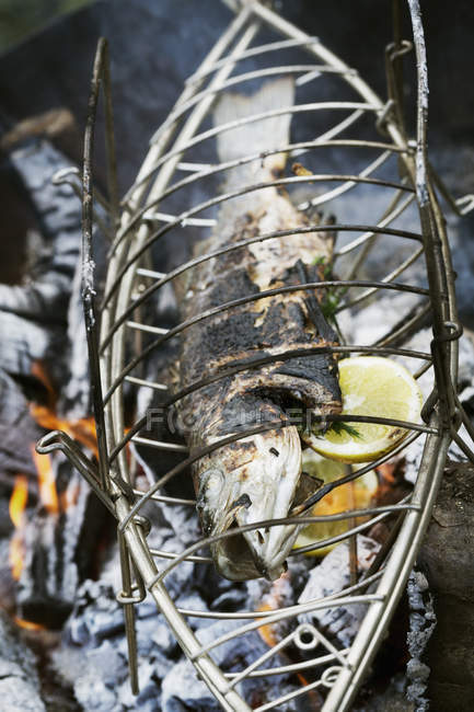 Fish in a fish grill basket — Stock Photo